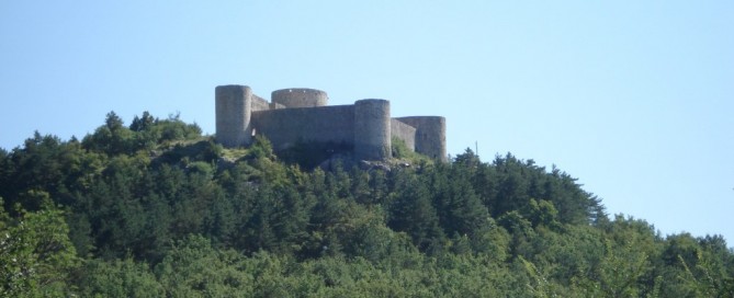 Drivenik