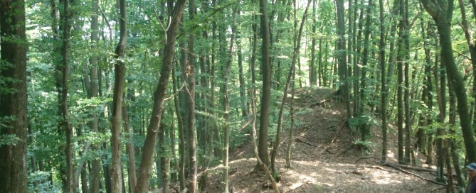 Komogovina