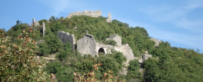 Ledenice