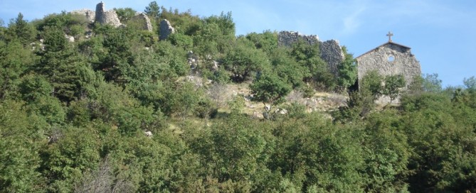 Ledenice
