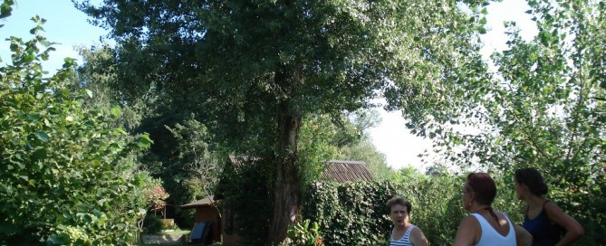 Gornji Kuršanec