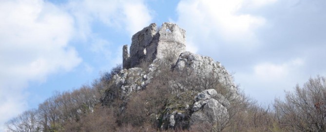 Okić